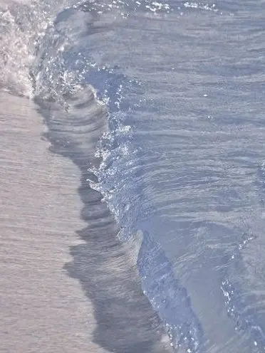 NimbleCold3867의 💫포세이큰 러브하우스💫