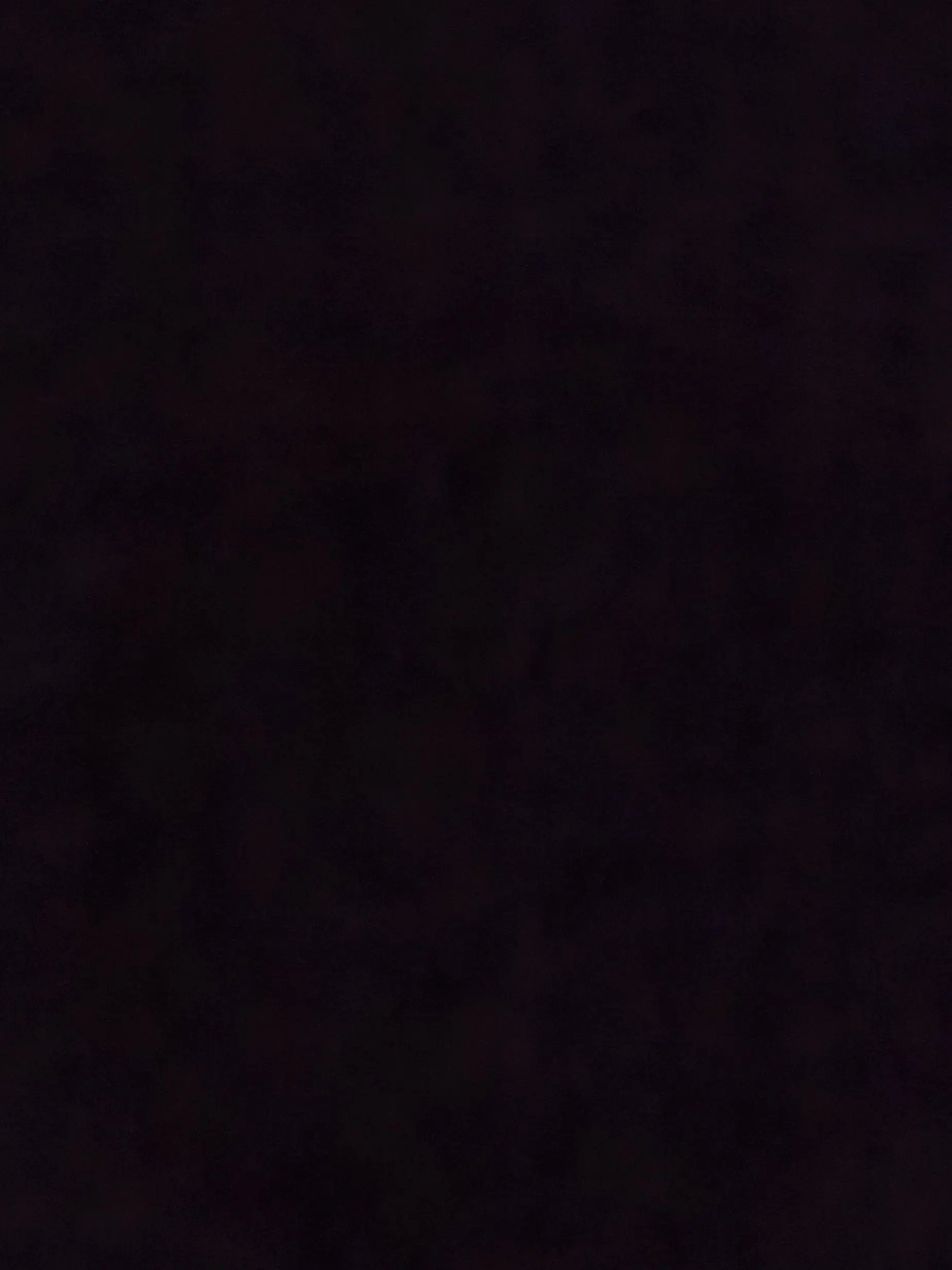 TimelyEmoji8076의 재혼