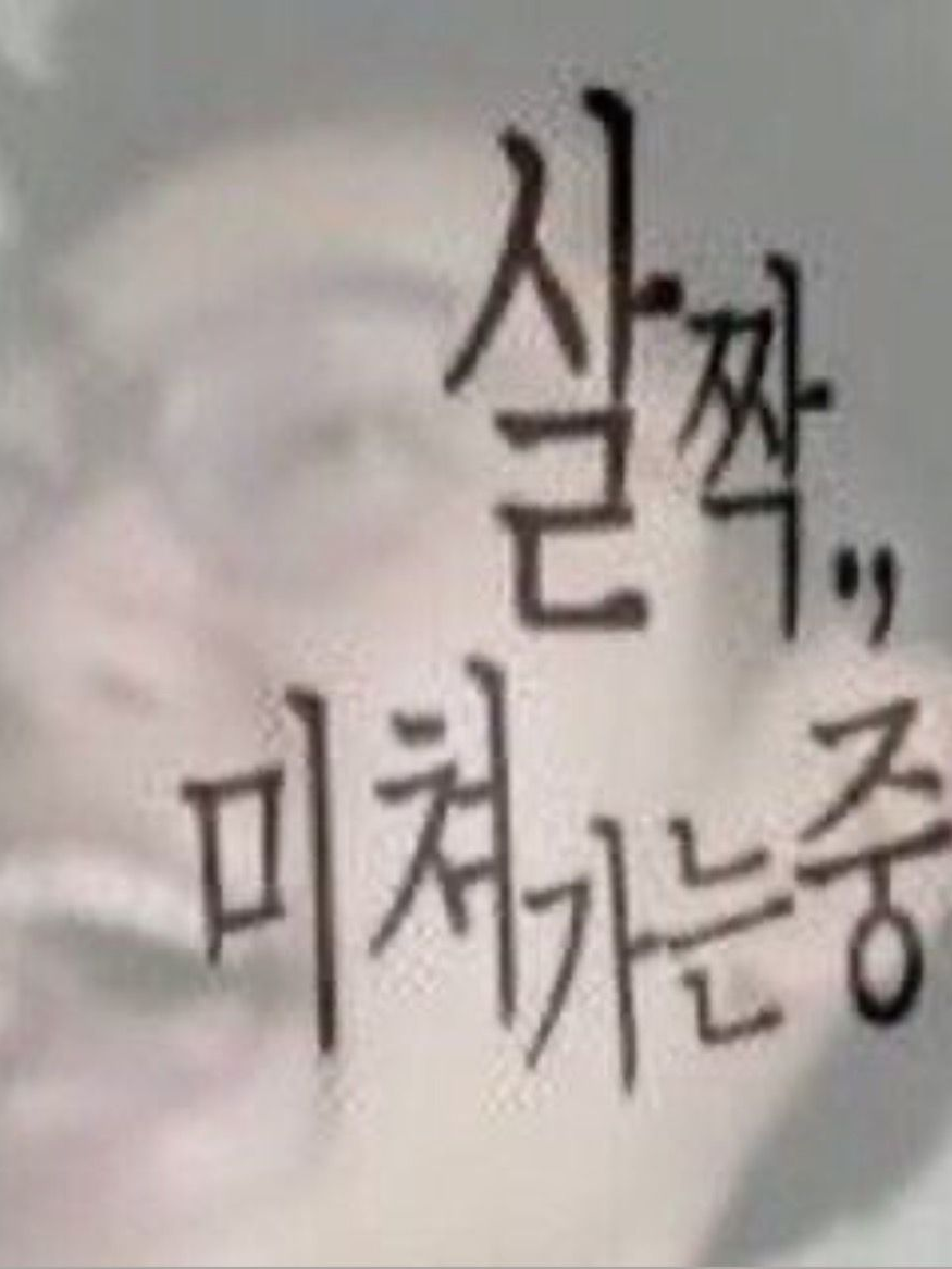 수상한 이웃집 대표 이미지