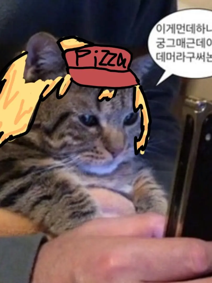 ModestMask4964의 내맘대로 엘리엇