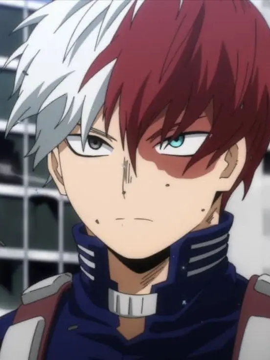 Novachanz의 Shoto Todoroki