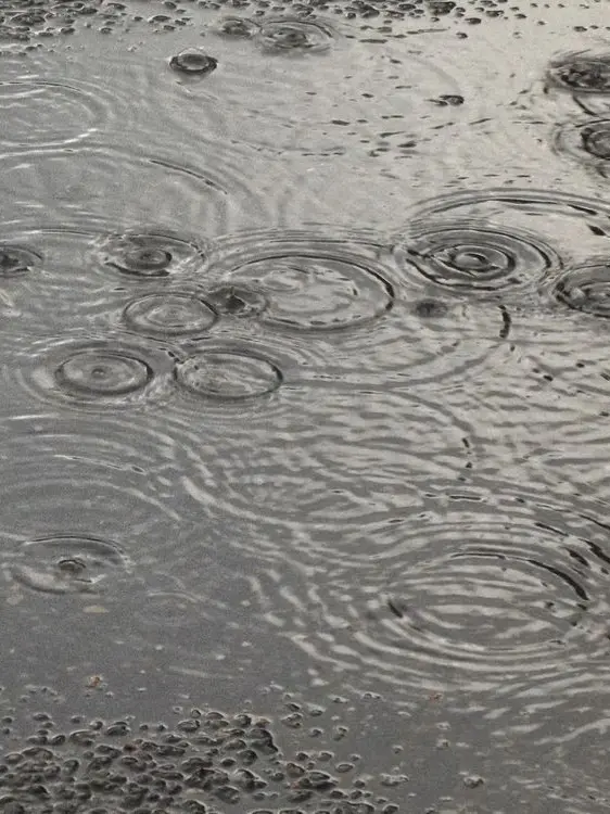 EggyCream3452의 있잖아사랑이란감정은뭘까?