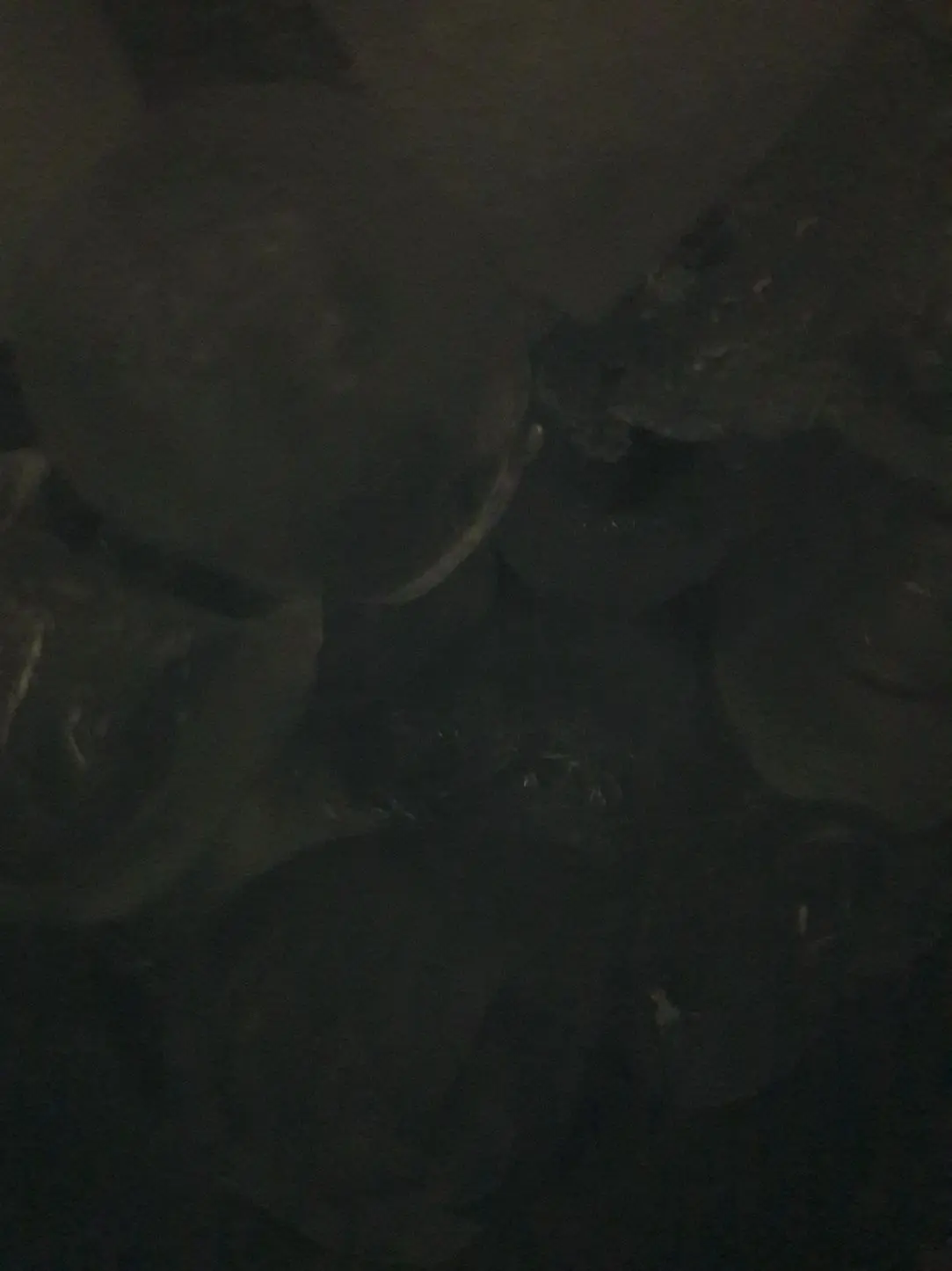 BaNillabread의 파이브