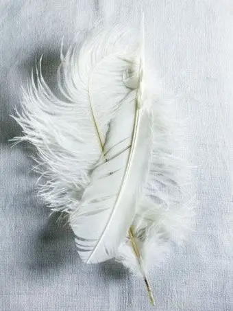 Blanked.love의 PIXELY ver. 천사