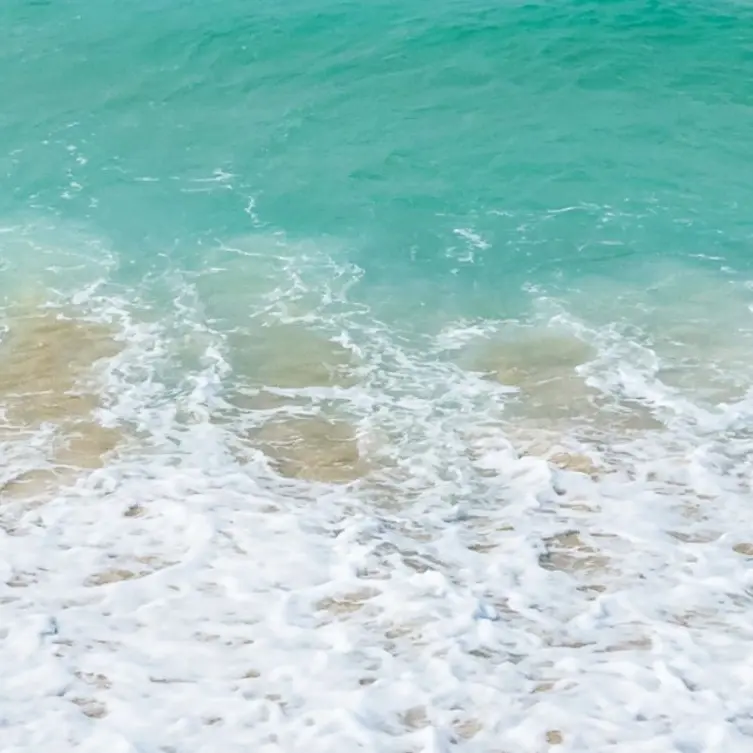 LankyShare8858의 Zeta 유도부