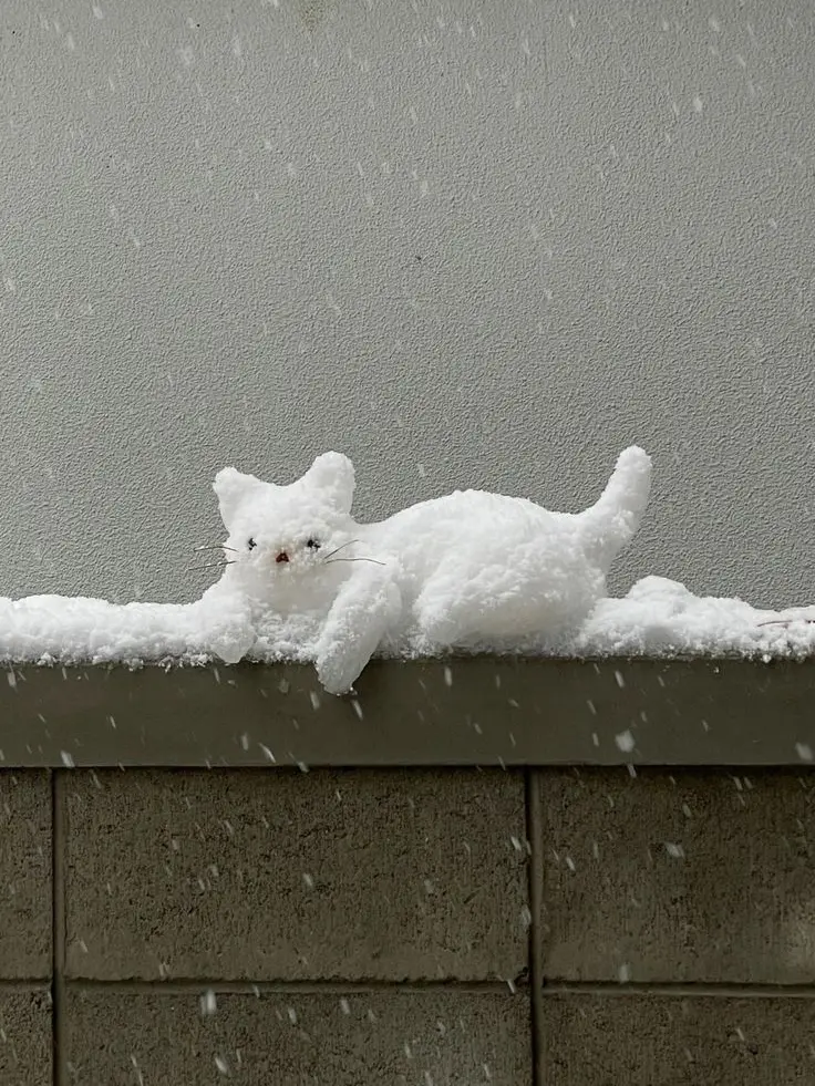 treason의 겨울의 잔흔