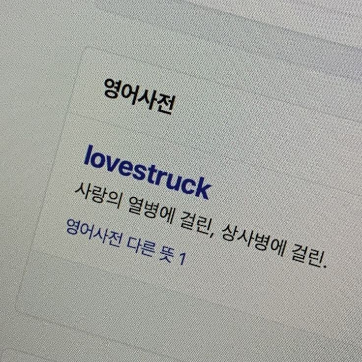 박지원 대표 이미지