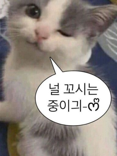 자연의 인도자들과 바다여행 대표 이미지