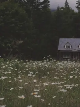 KeenPants6895의 Solitary Cabin