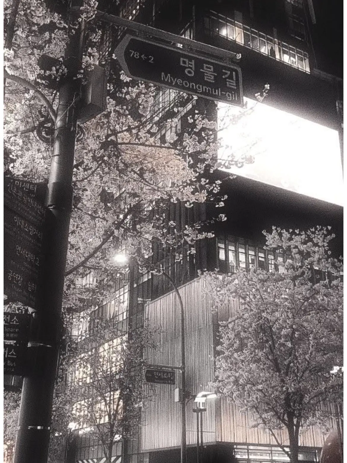 CalmEland0250의 学園🎒