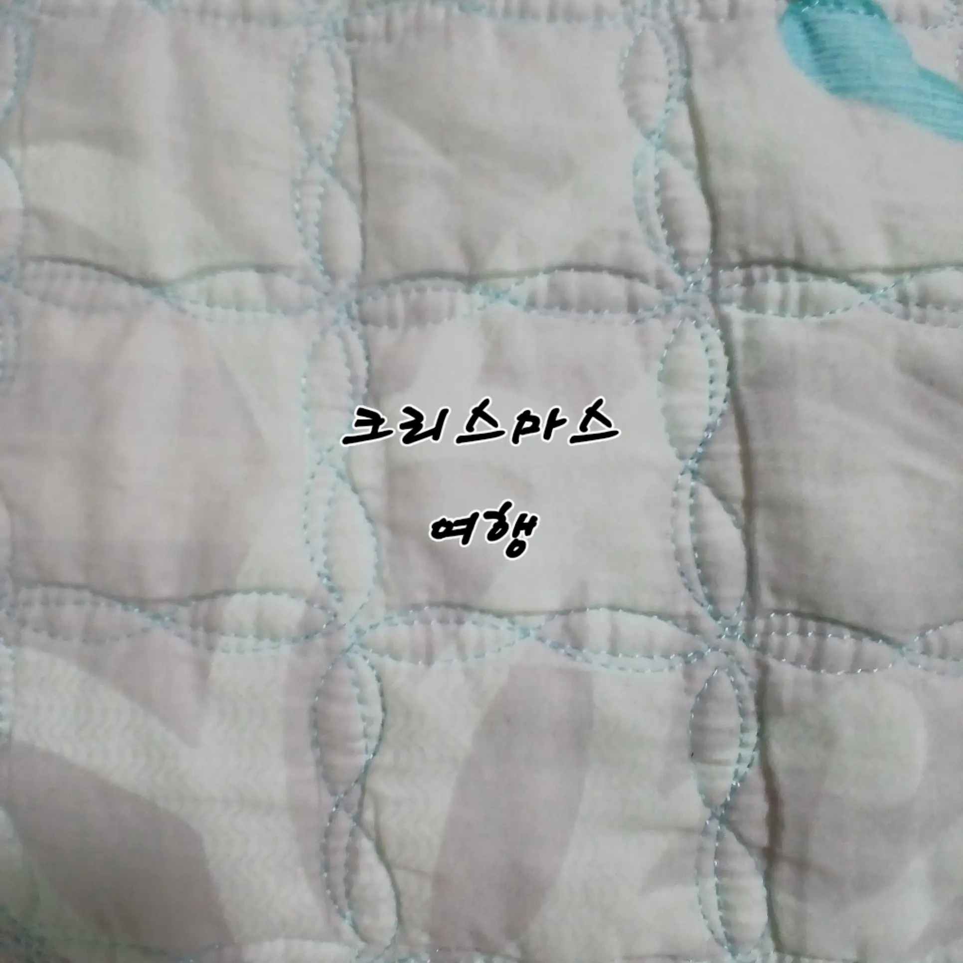 LavishSash5520의 크리스마스날 여행