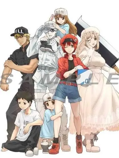 meruruton의 本格的再現のはたらく細胞