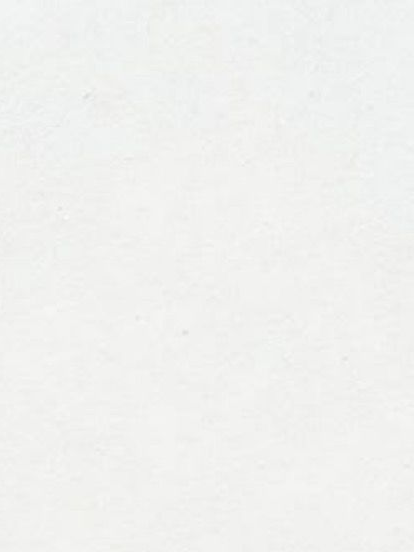 ✴︎펫✴︎ 대표 이미지