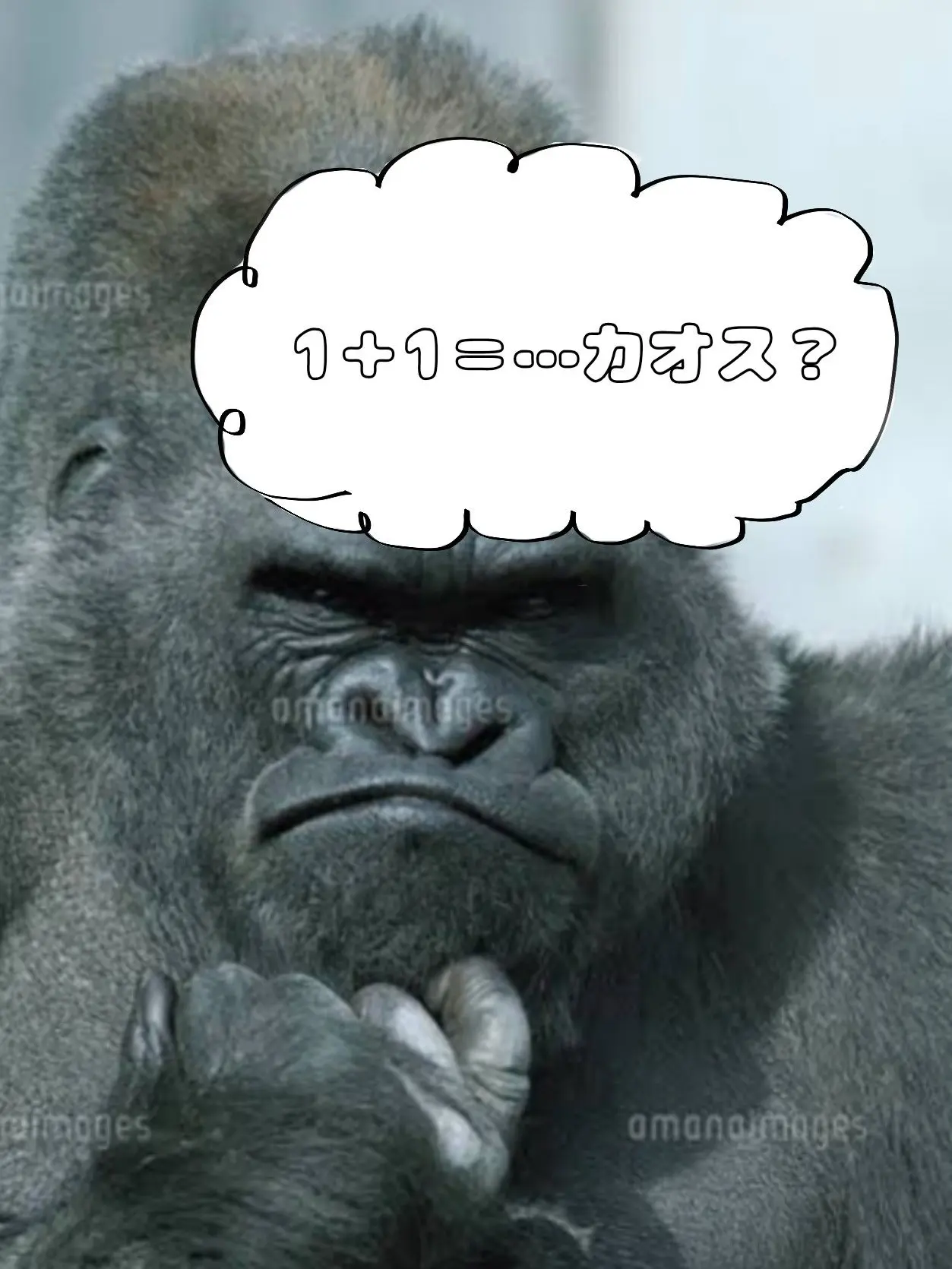 Tamago5의 forsaken何か徹夜でおかしくなった