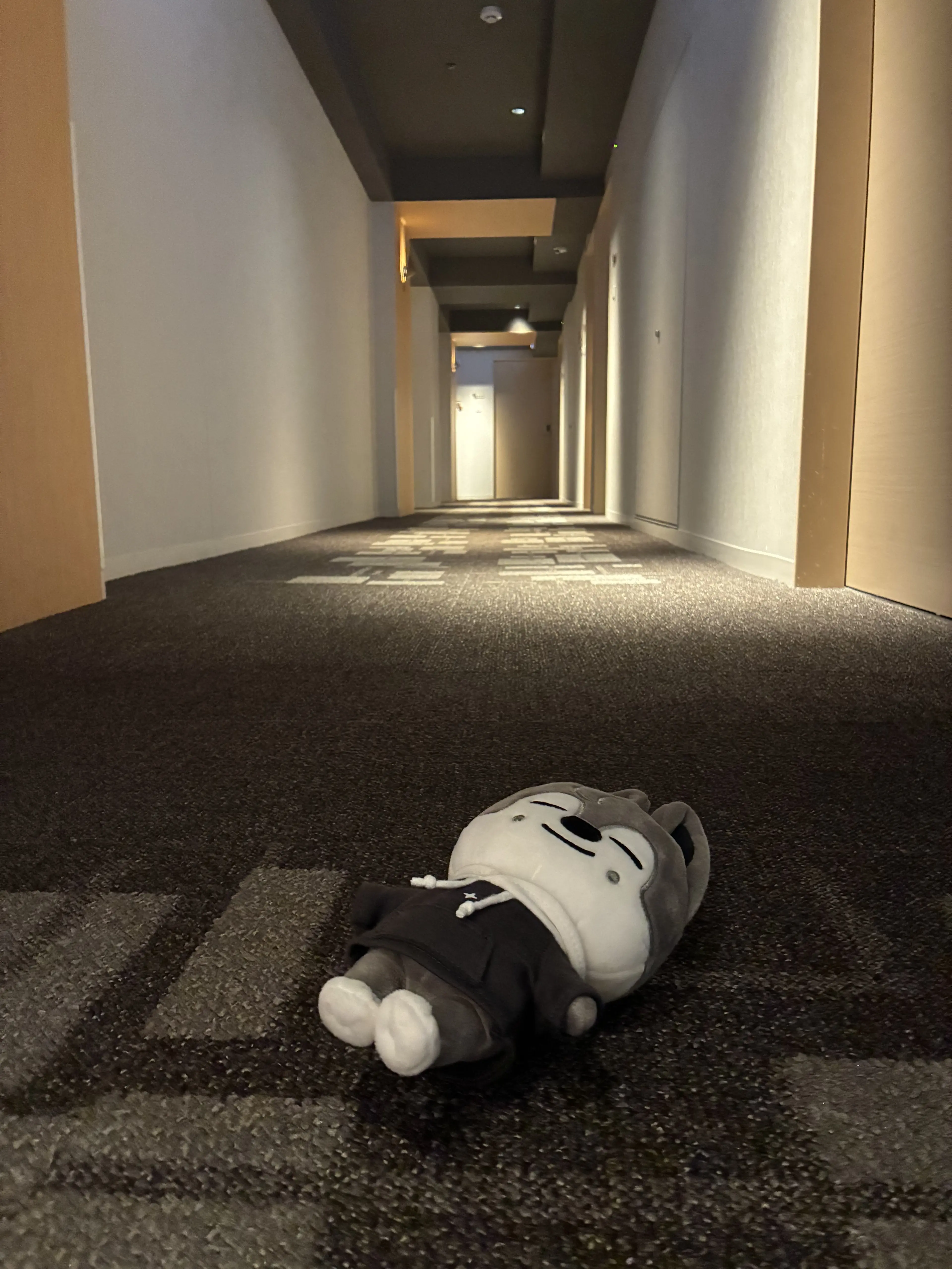 WOLF_CHAN_1003의 강박즈(지극히 개인용입니다…)