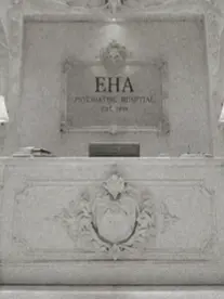 A.b.s의 EHA 정신병원