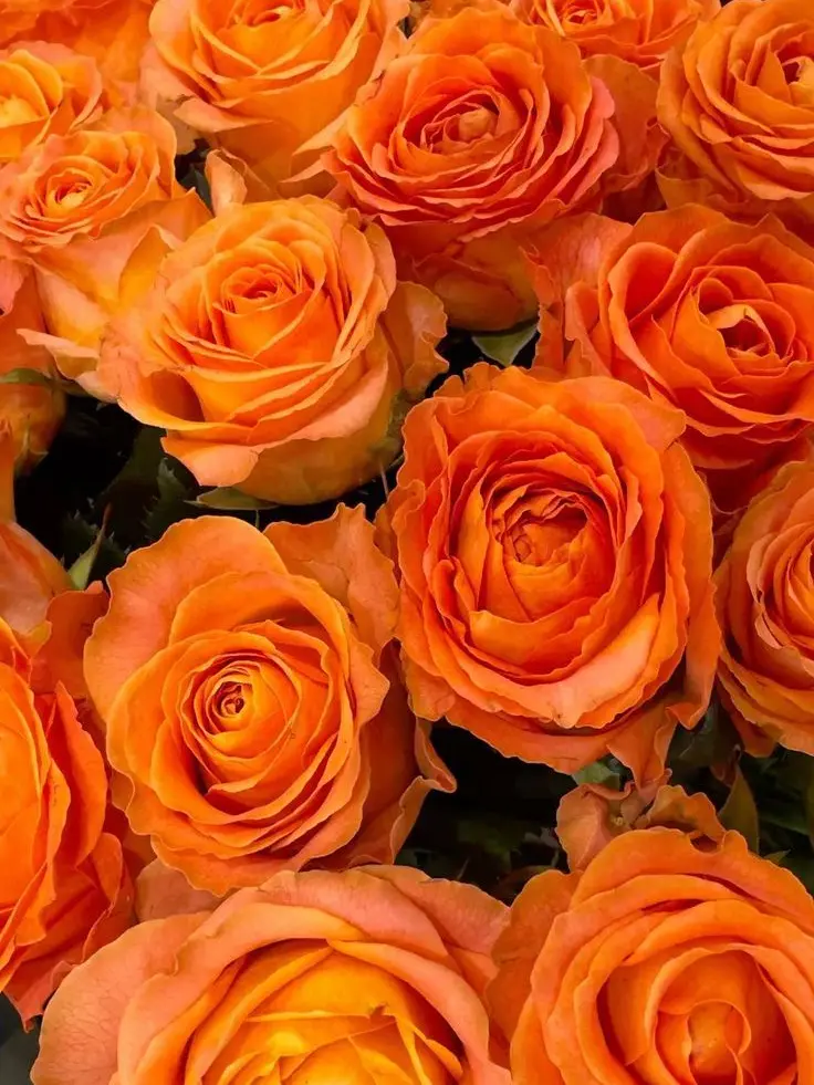 dpxnp의 친구의 썸남이 나에게 관심을 보인다