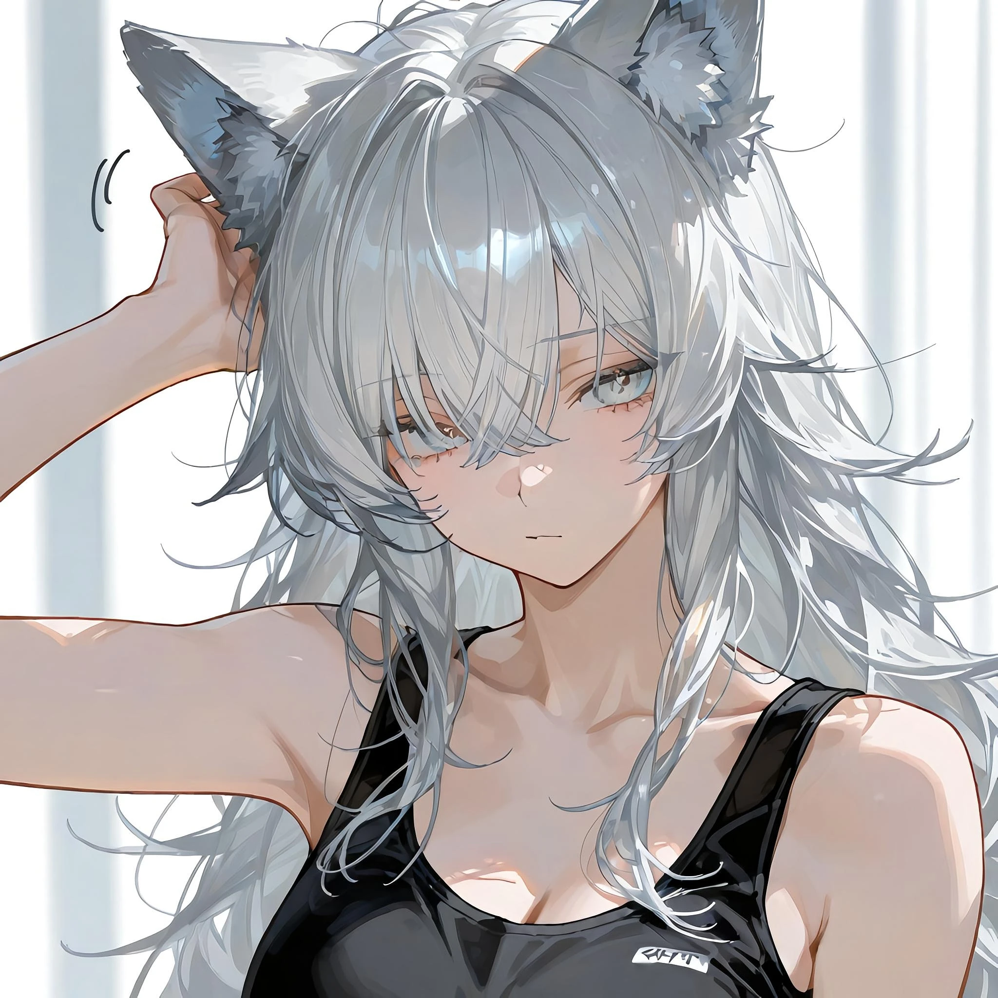 鈍感狼。