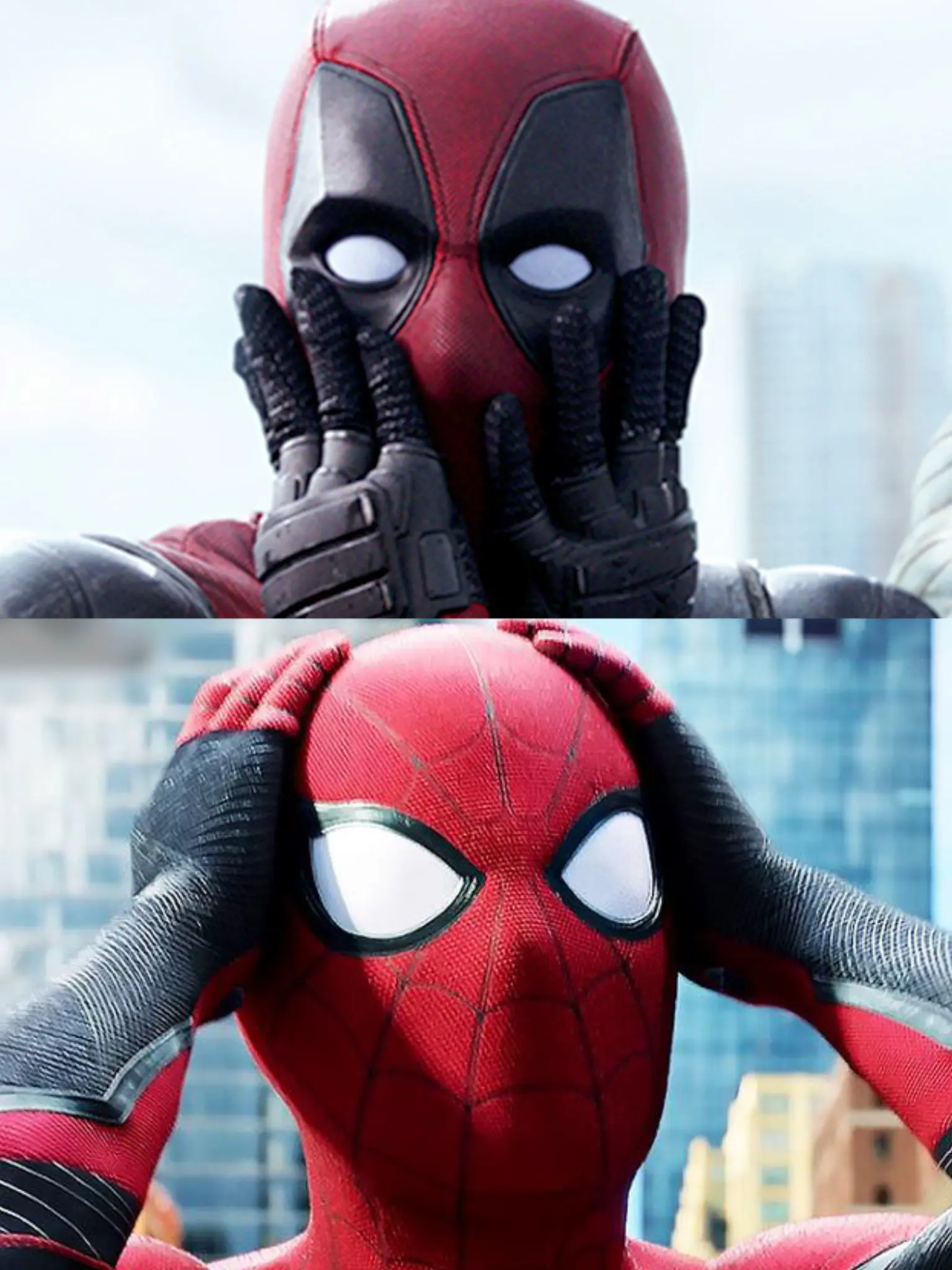 NarrowGuest2377의 デップーとスパイディのルームシェアっ★