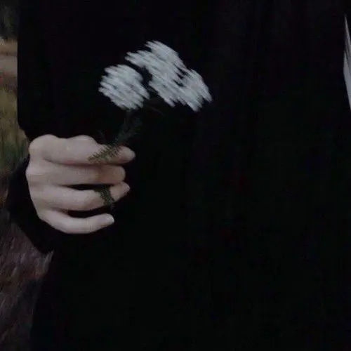 FullScarf2211의 친 형과 형