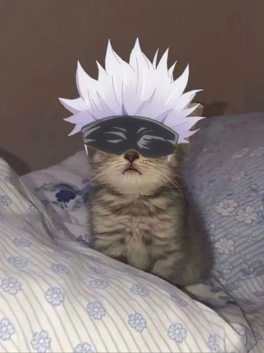 LeafyIndri5838의 주술회전ts