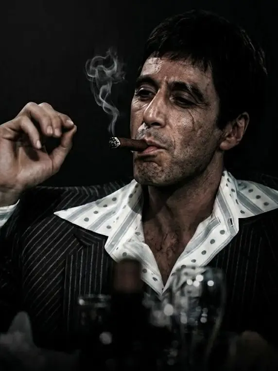 ExpertStale2562의 Tony Montana