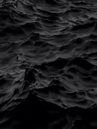 PuristDaug8077의 뜰팁 조직