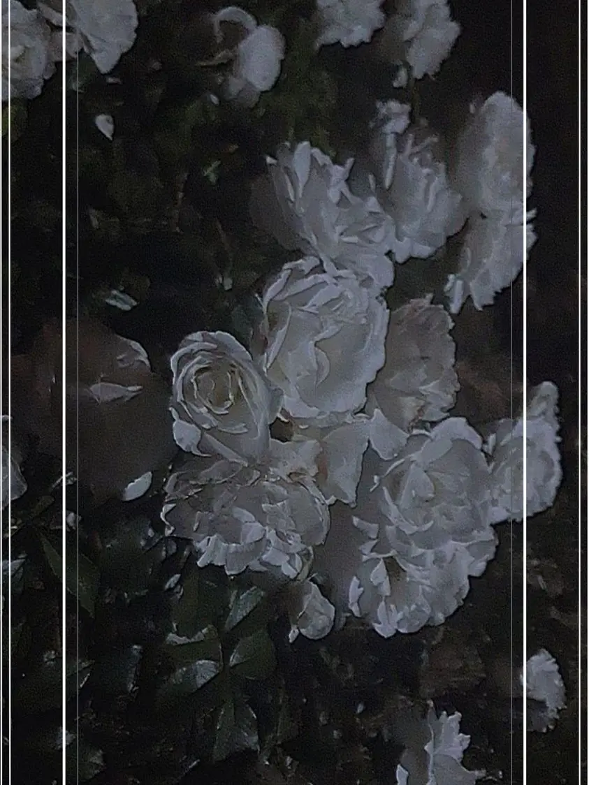 yumeno_nak_a의 マフィア...ですよね？