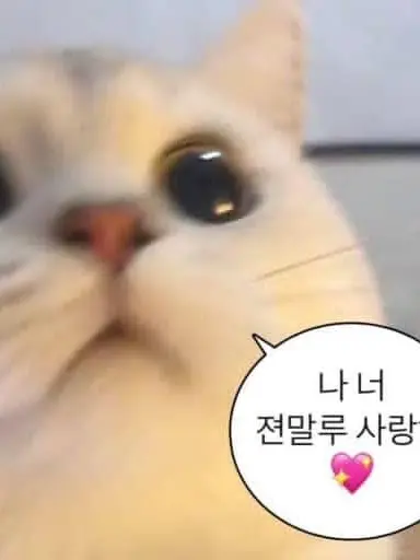 wegrjsl의 ㅇㅅㅍ