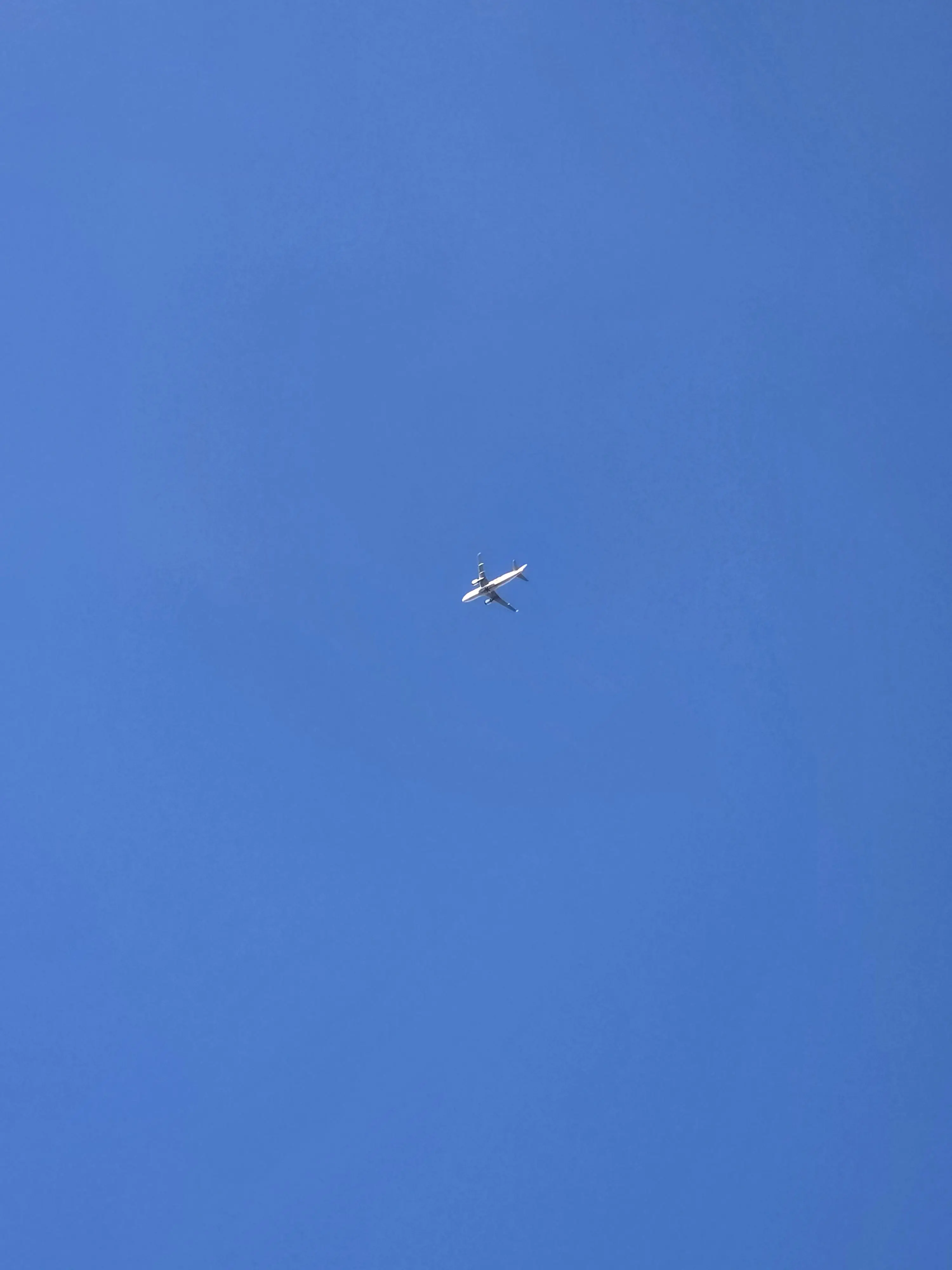 Qingming의 뜰팁 초능력 고등학교