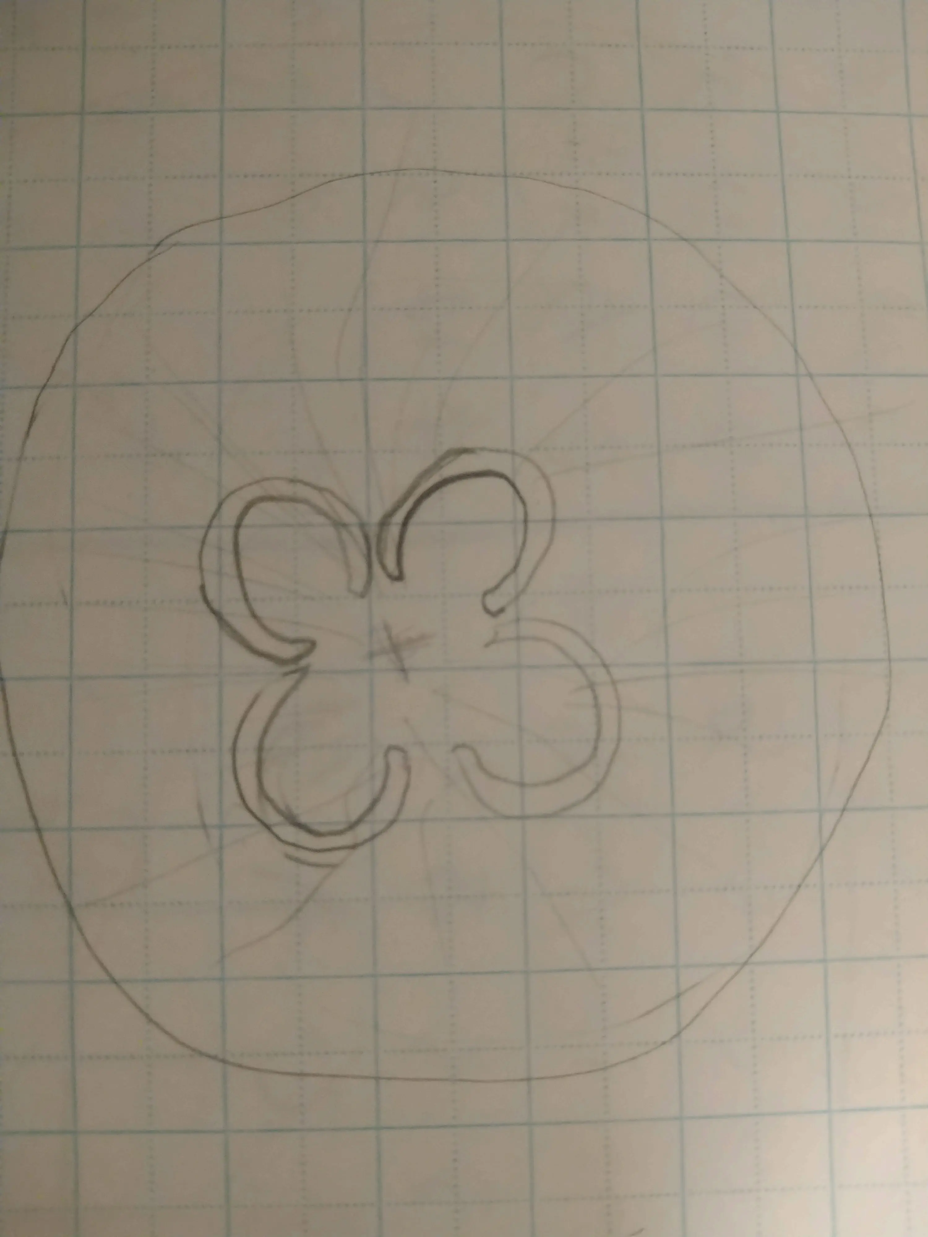 Kagura__의 みーつけた。