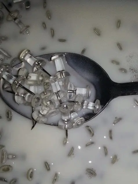 uhdbbyloe의 채스터