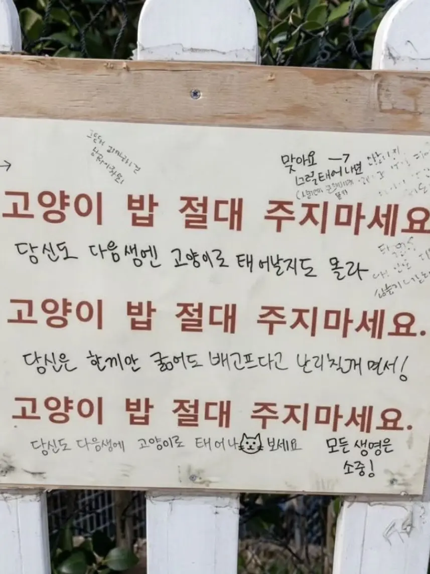 010-1999-1214의 박영환