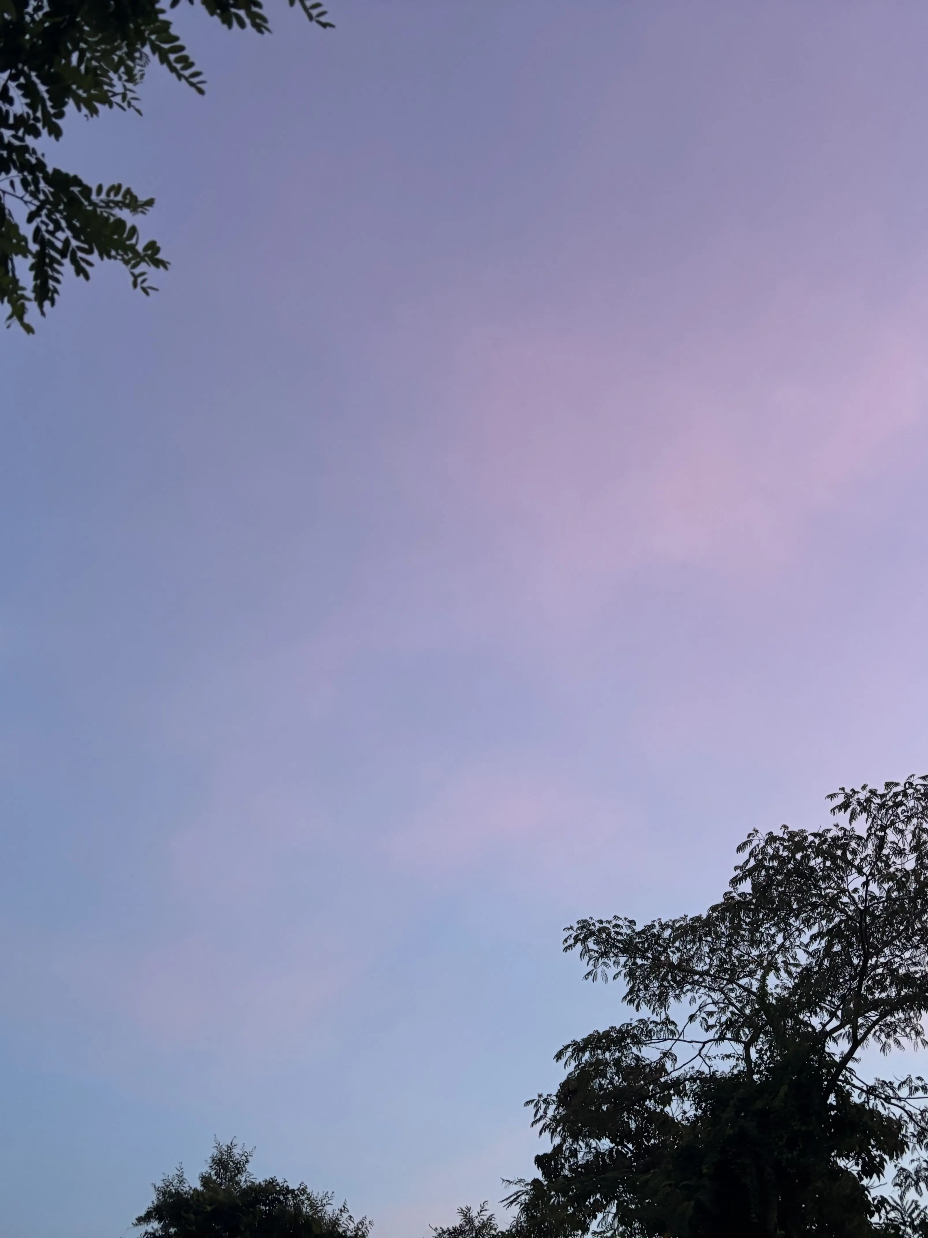 PoliteEagle3369의 오늘밤 세계에서 이사랑이 사라진다해도