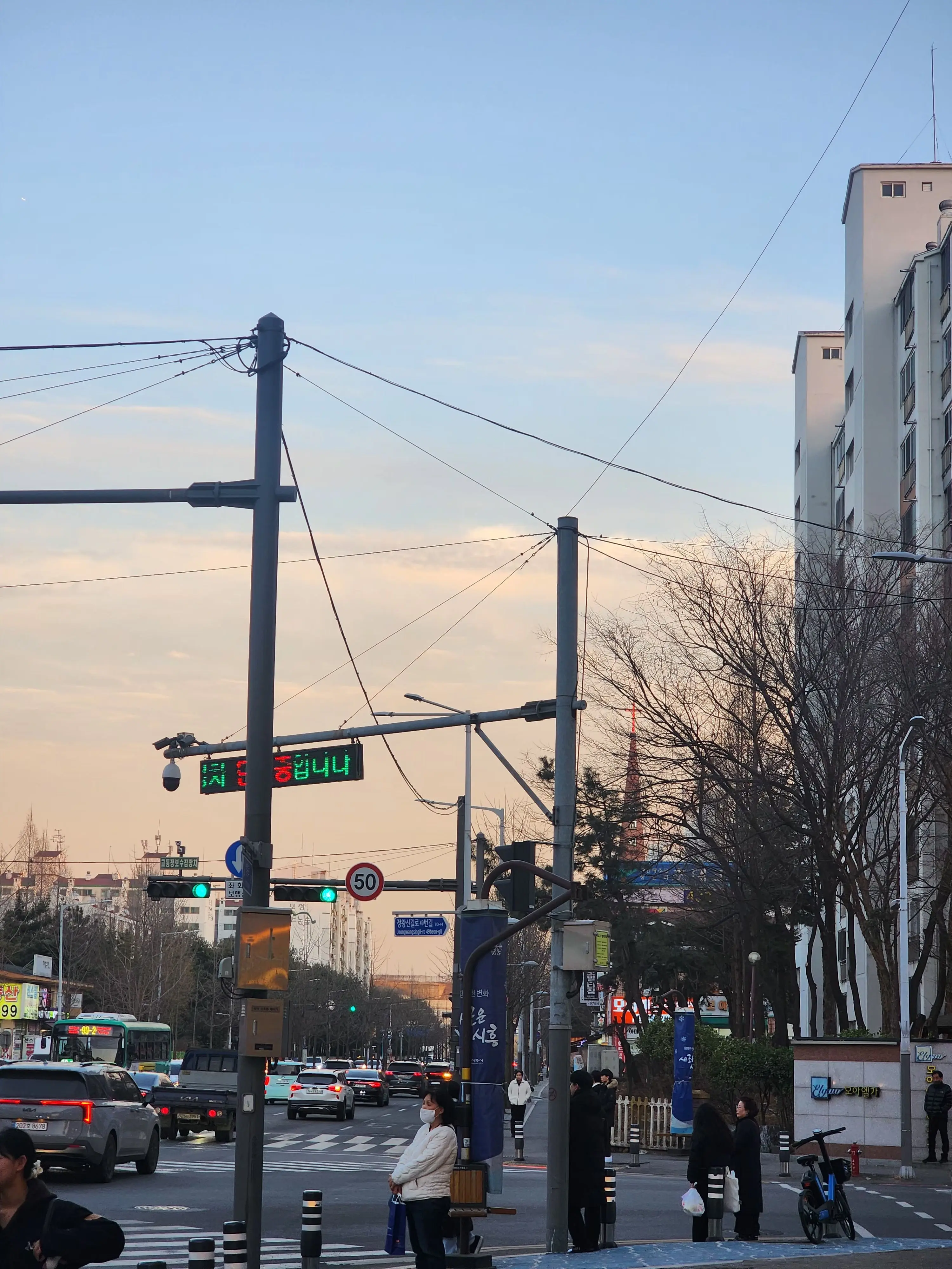 PointyKagu0432의 나의 유일한 안식처