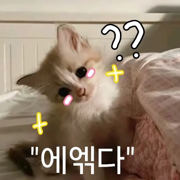 NearPet2494의 삼각관계(테리블마우스