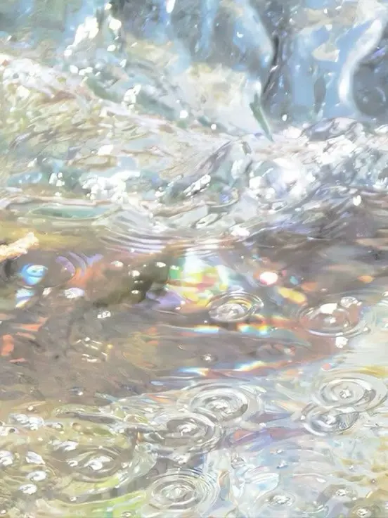 mycat.6의 소문의 낙원