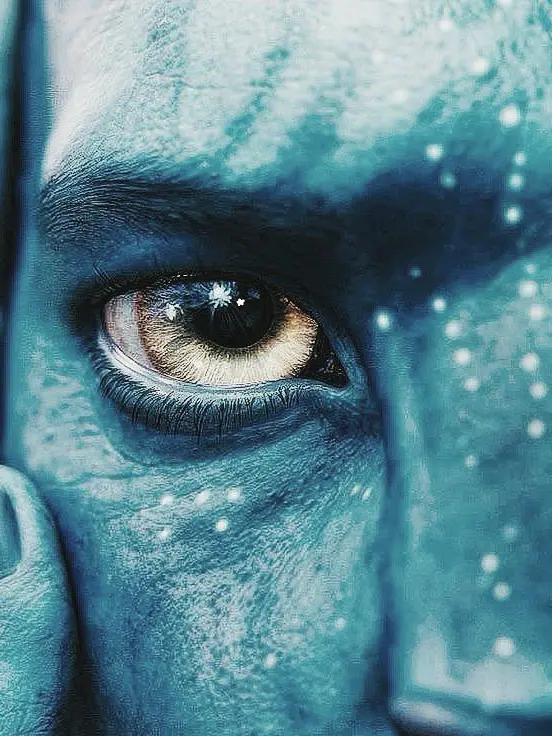 PlumpMudi6529의 Avatar