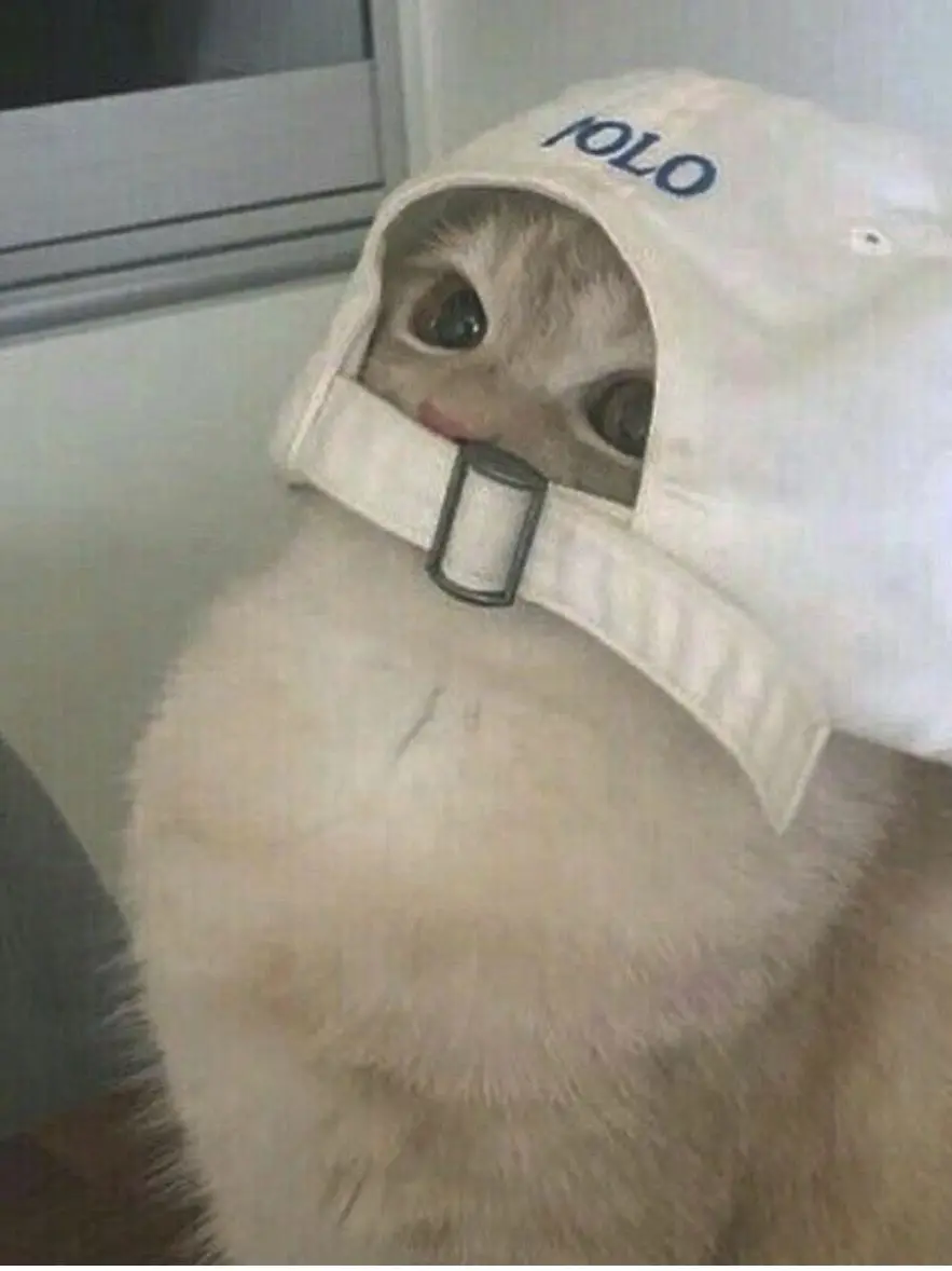 EZ123의 냥