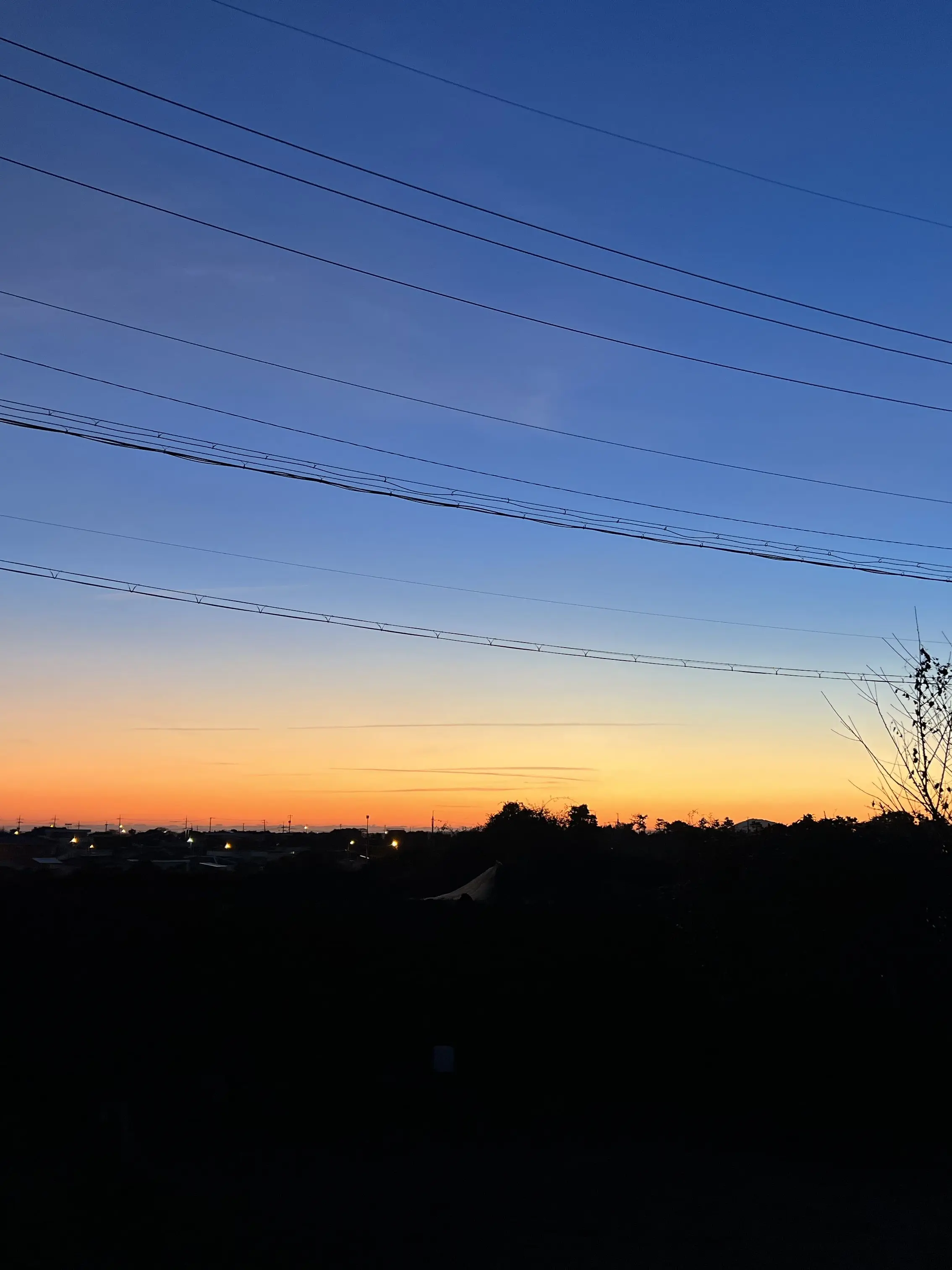 Hicaly의 크리스마스 팀샐! (여우 포함^^)