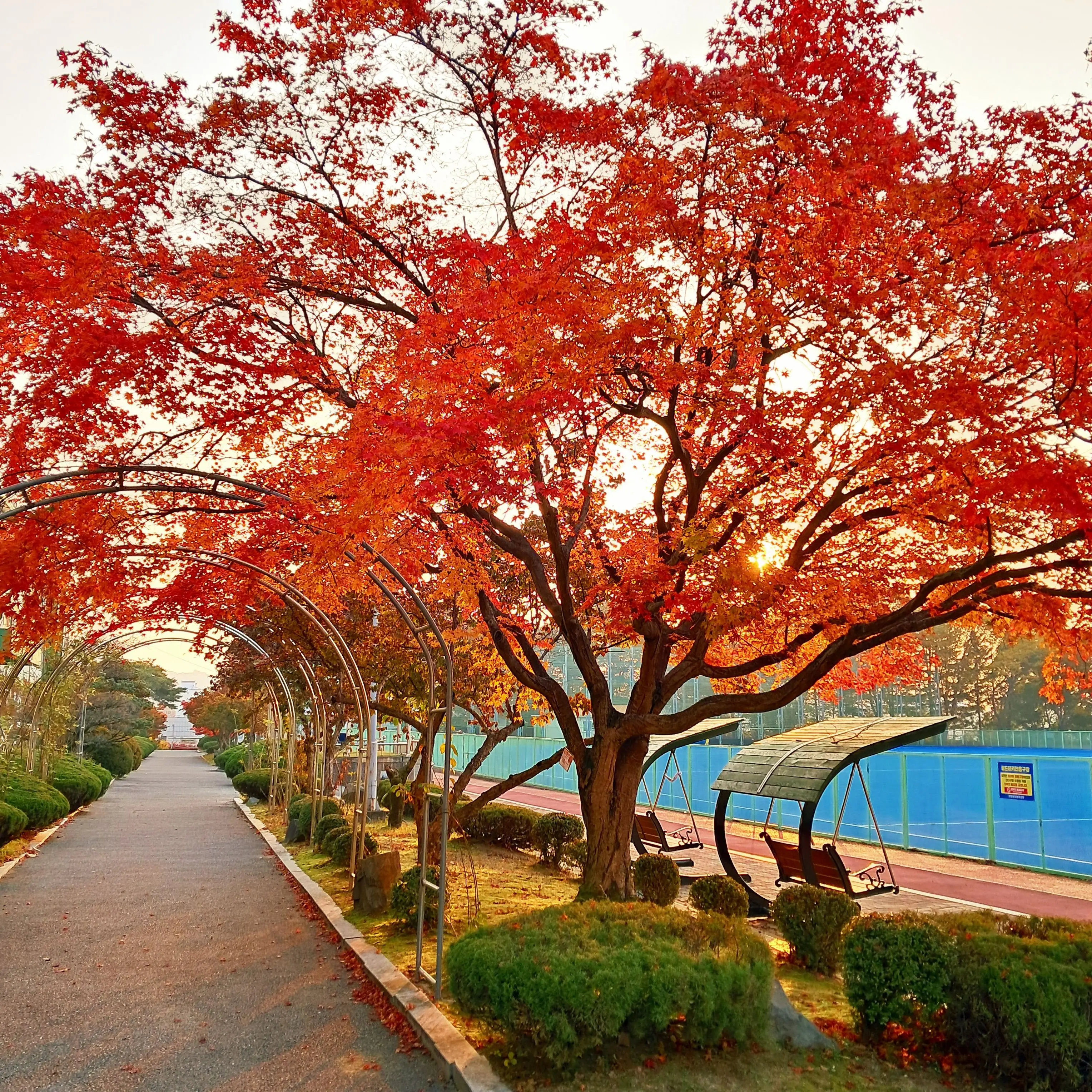 PoorApe7258의 김승민