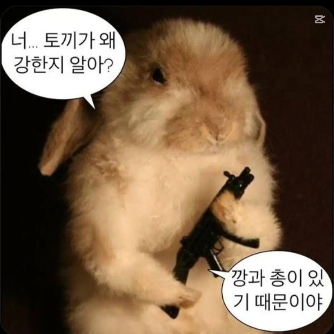 FancyMango9146의 쿨키드와 친해지기