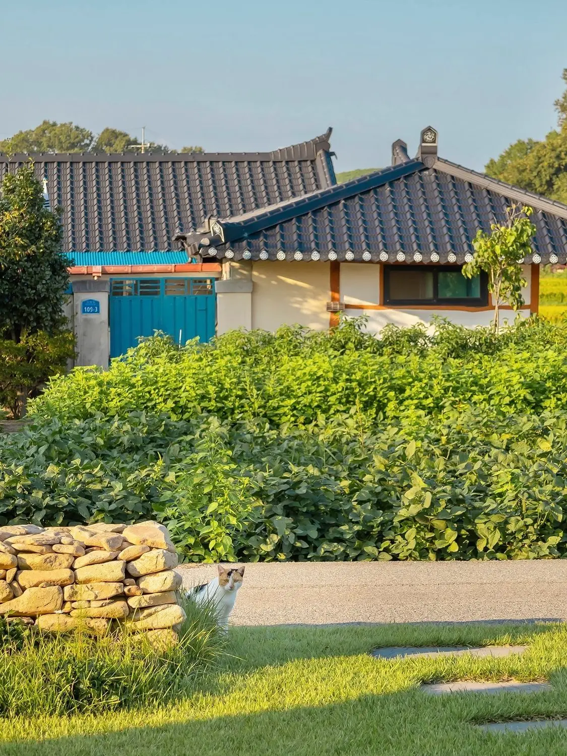 LoyalTwig0865의 시골 홍일점 유저