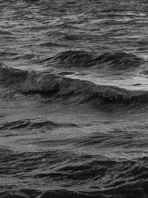 Honkaistarrail의 영혼 계약이라니까, 영혼.