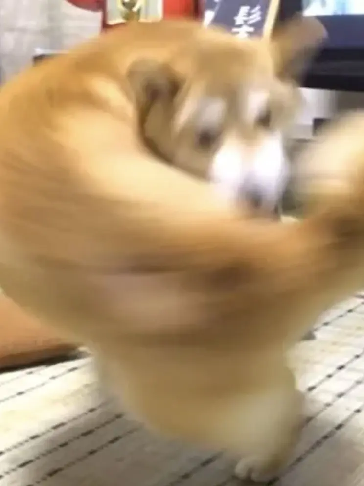 Yuu__110의 いたどりせんせー