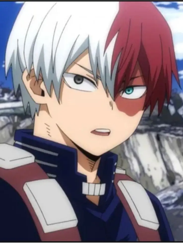 Novachanz의 Shoto Todoroki
