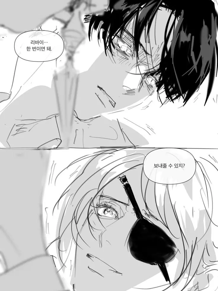 Leviwife의 리바이