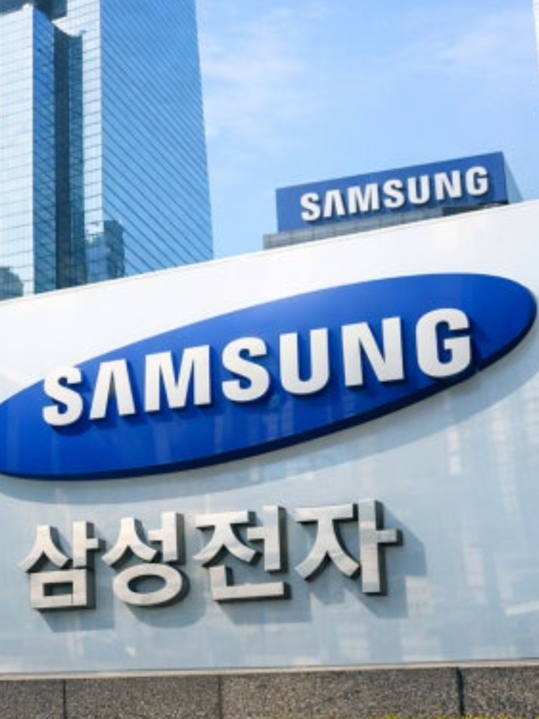 유튜버태권도 대표 이미지