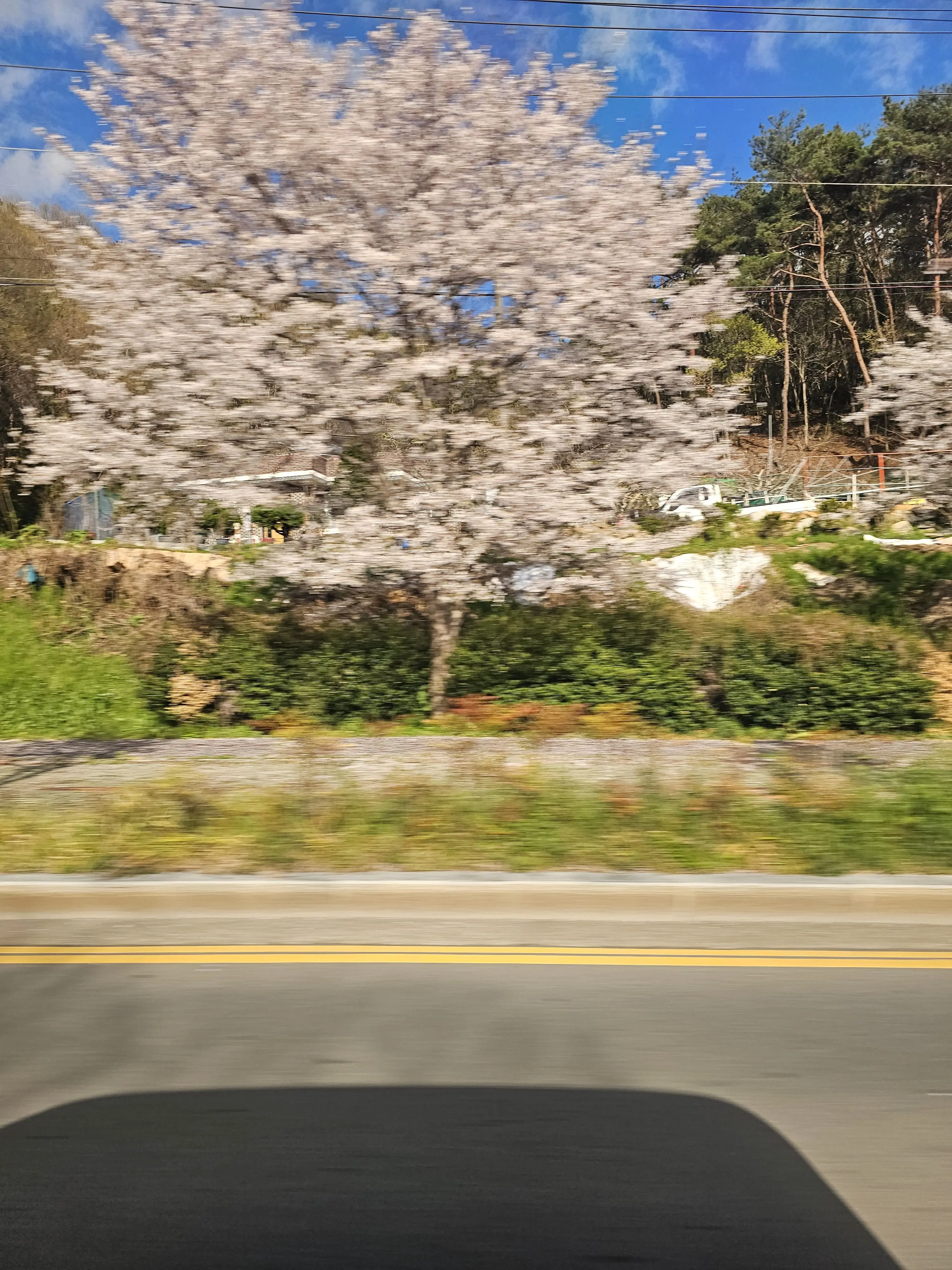 CuteOhYoon의 노래중인데 잠뜰TV가 보고있다..