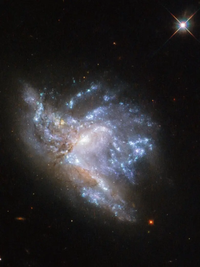 SnowyIndri2240의 전설이 된 빛줄기